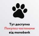 Mono лого MESA